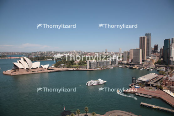 Aerial view of the Sydney Harbour and Circular Quay
