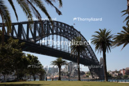IMG_4385_sydney_wm