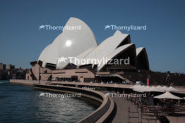 IMG_4398_sydney_wm