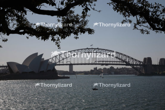 Sydney Harbour Bridge and opera house - Editorial Use Only
