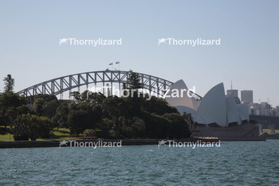 Sydney Harbour Bridge and opera house - Editorial Use Only