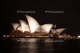 IMG_4445_sydney_wm
