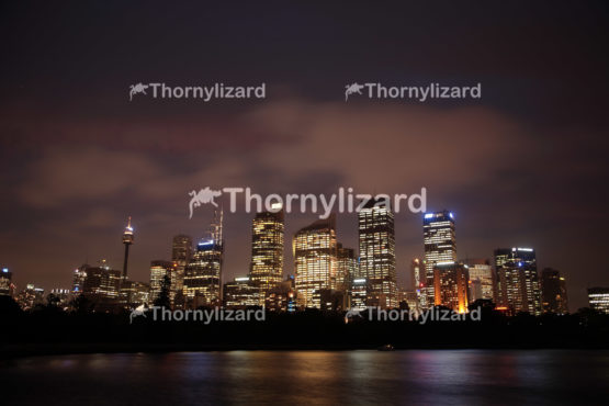 Sydney Harbour skyline at night