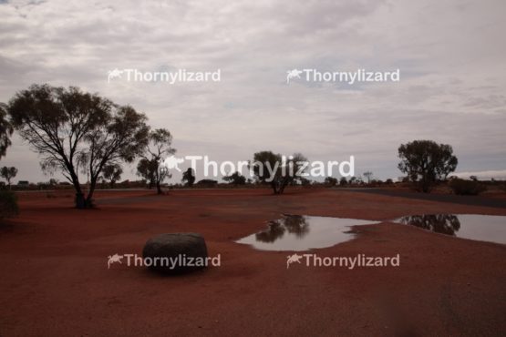 Landscape of Australian outback, Northern Territory.