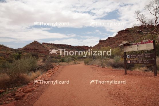 Kings Canyon walk, outback, Australia