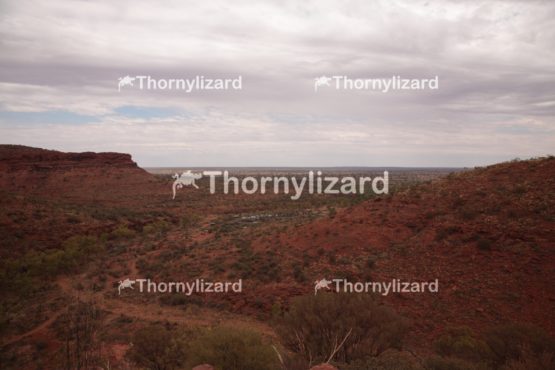 Landscape of Kings Canyon, outback, Australia