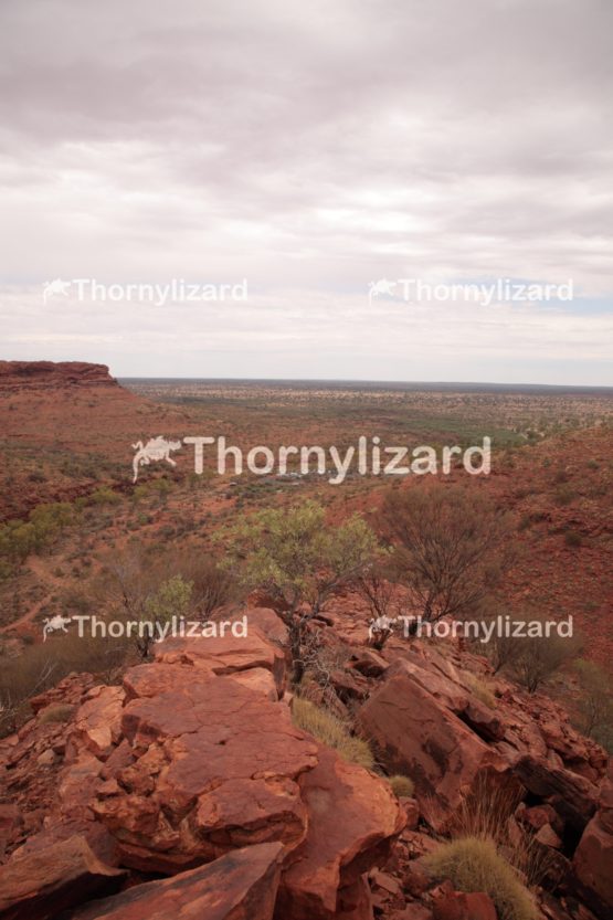 Landscape of Kings Canyon, outback, Australia