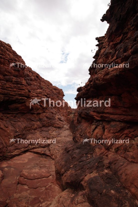Landscape of Kings Canyon, outback, Australia