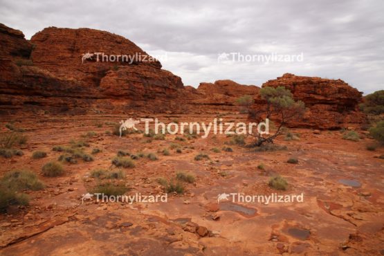 Landscape of Kings Canyon, outback, Australia