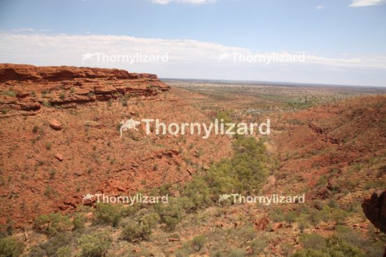 Landscape of Kings Canyon, outback, Australia