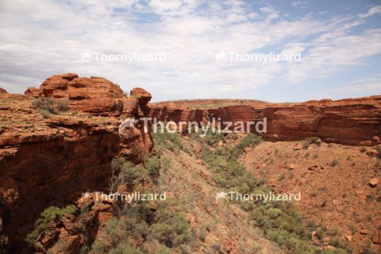 Landscape of Kings Canyon, outback, Australia