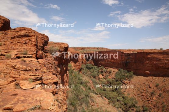 Landscape of Kings Canyon, outback, Australia