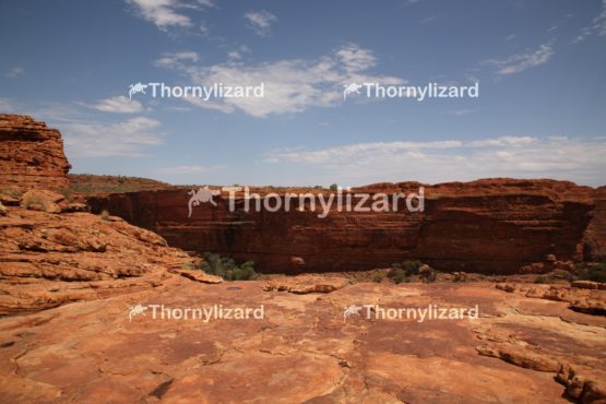 Landscape of Kings Canyon, outback, Australia