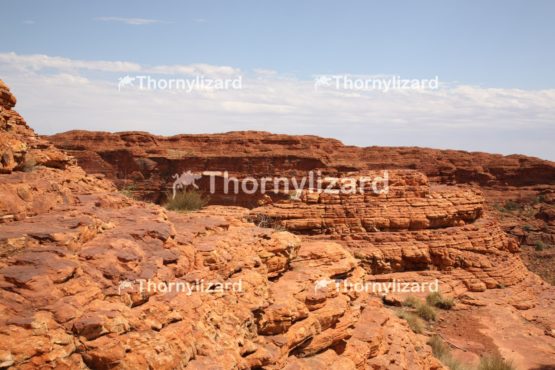 Landscape of Kings Canyon, outback, Australia