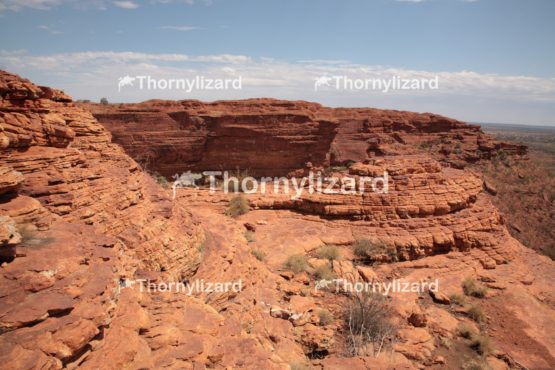 Landscape of Kings Canyon, outback, Australia