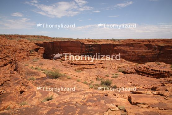 Landscape of Kings Canyon, outback, Australia