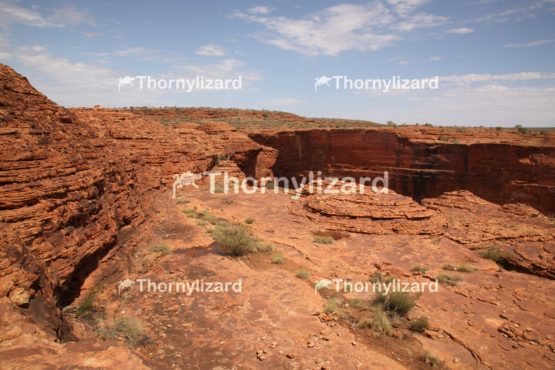 Landscape of Kings Canyon, outback, Australia