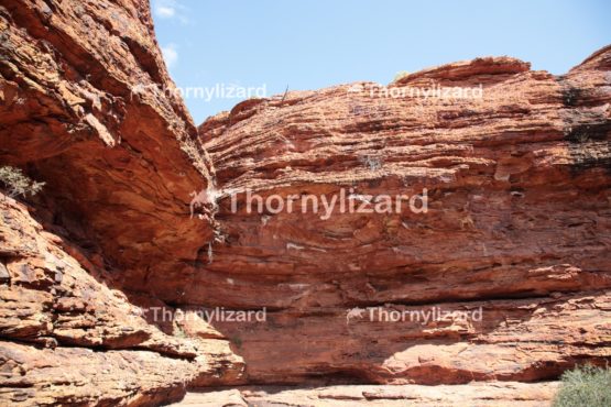 Landscape of Kings Canyon, outback, Australia