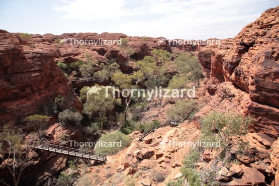 Landscape of Kings Canyon, outback, Australia