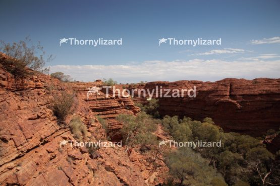 Landscape of Kings Canyon, outback, Australia