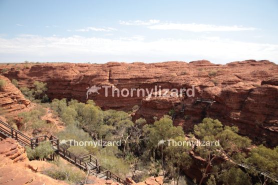 Landscape of Kings Canyon, outback, Australia