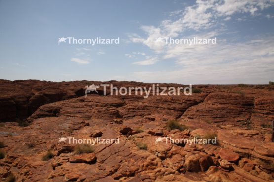 Landscape of Kings Canyon, outback, Australia