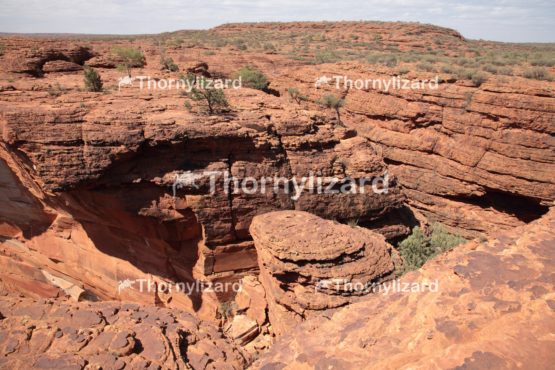 Landscape of Kings Canyon, outback, Australia
