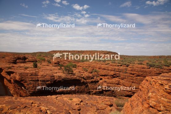 Landscape of Kings Canyon, outback, Australia