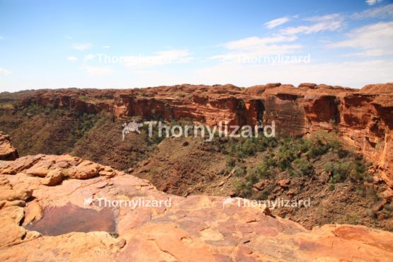 Landscape of Kings Canyon, outback, Australia