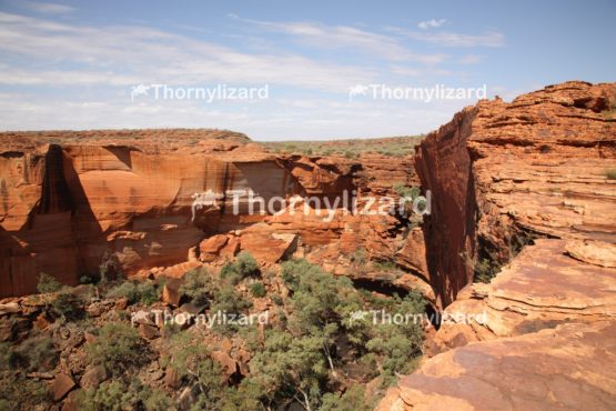 Landscape of Kings Canyon, outback, Australia