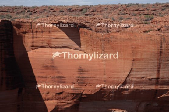 Landscape of Kings Canyon, outback, Australia