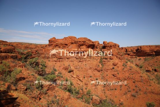 Landscape of Kings Canyon, outback, Australia