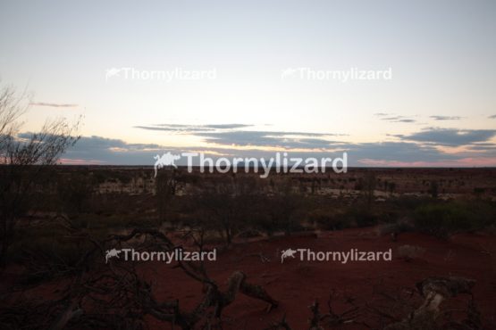 Landscape of Uluru National Park in Northern Territory, Australia
