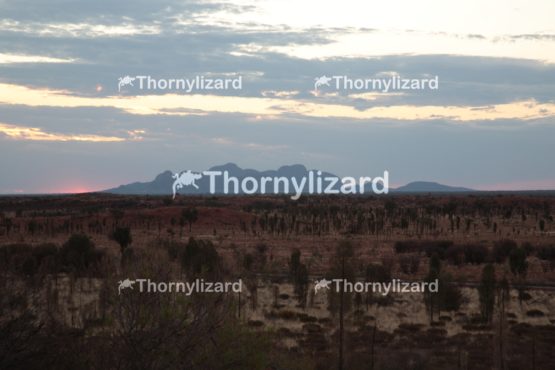 Landscape of Uluru National Park in Northern Territory, Australia