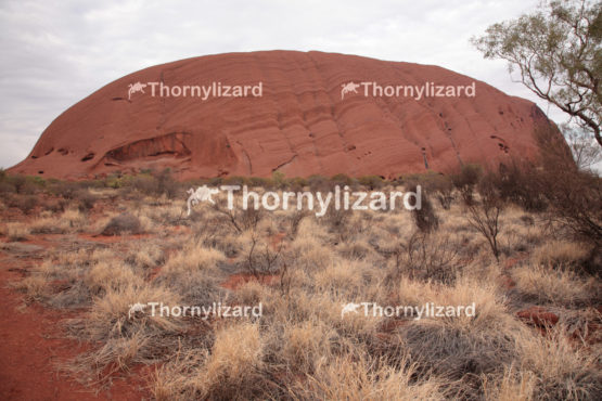 Uluru in Northern Territory, Australia