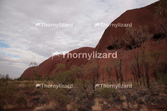 Uluru in Northern Territory, Australia
