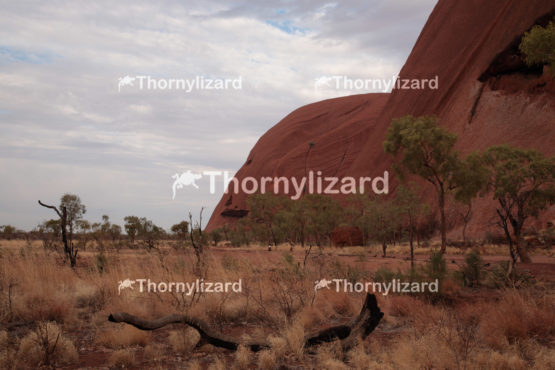 Uluru in Northern Territory, Australia