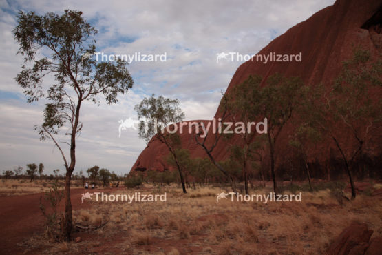 Uluru in Northern Territory, Australia