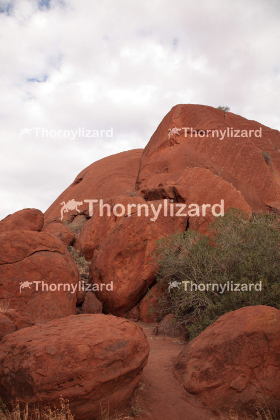 Uluru in Northern Territory, Australia