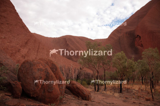 Uluru in Northern Territory, Australia