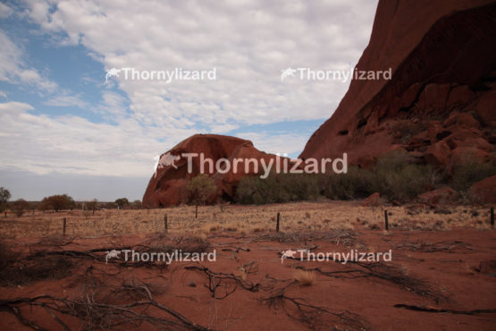 Uluru in Northern Territory, Australia