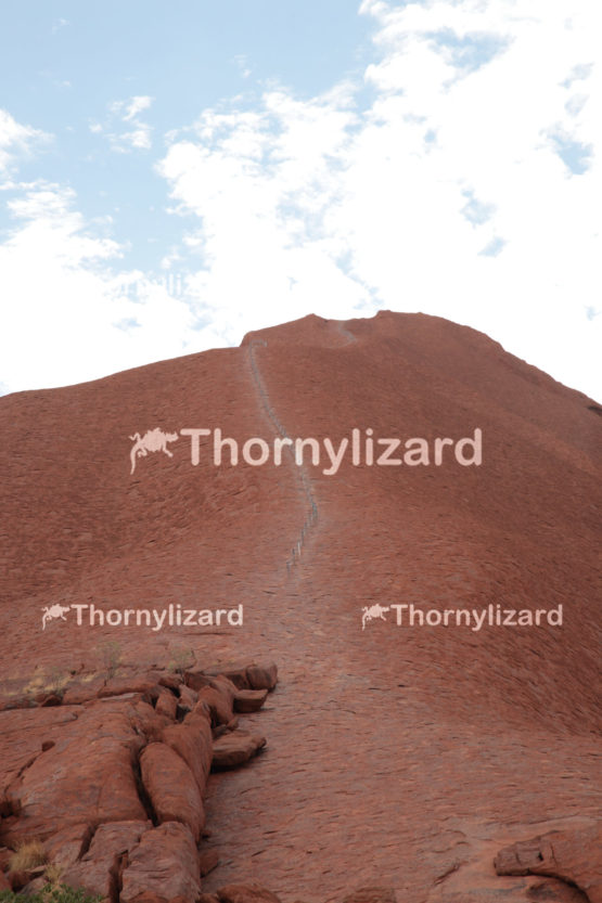 Uluru in Northern Territory, Australia