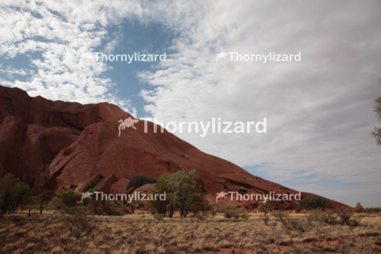 Uluru in Northern Territory, Australia