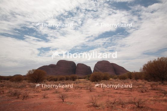 Kata Tjuta in Northern Territory, Australia.