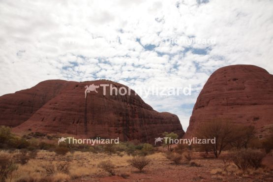 Kata Tjuta in Northern Territory, Australia