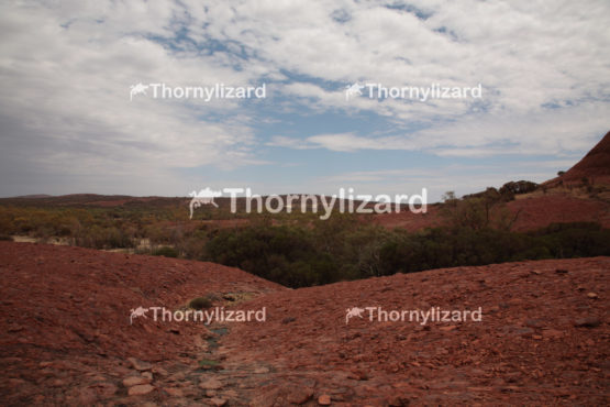 Uluru-Kata Tjuta National Park in Northern Territory, Australia