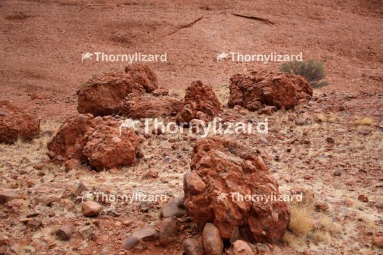 Landscape of Kata Tjuta in Northern Territory, Australia