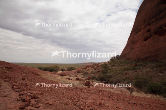 Uluru-Kata Tjuta National Park in Northern Territory, Australia