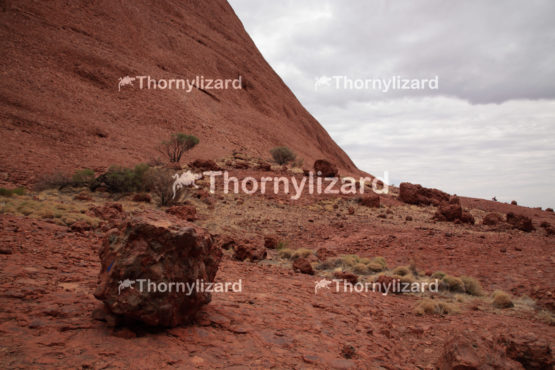 Kata Tjuta in Northern Territory, Australia