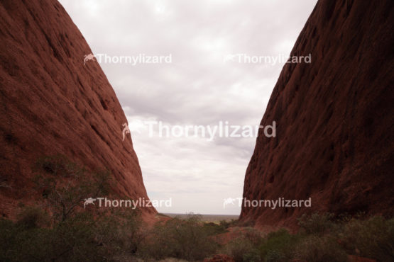 Kata Tjuta in Northern Territory, Australia